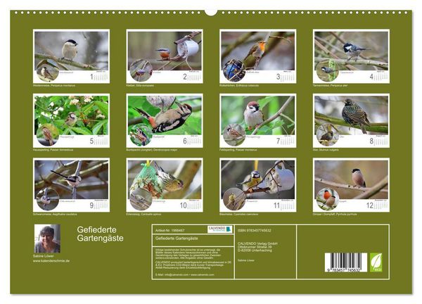 Produktbild: Gefiederte Garteng&auml;ste (hochwertiger Premium Wandkalender 2026 DIN A2 quer), Kunstdruck in Hochglanz
