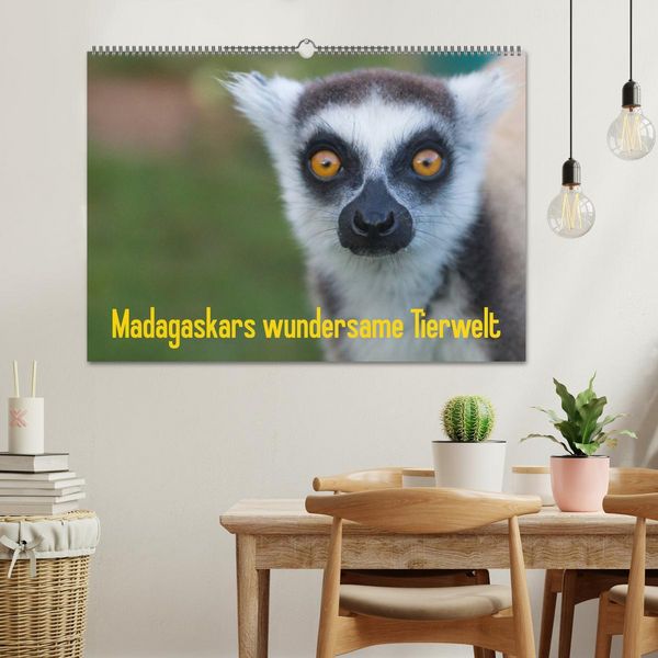 Produktbild: Madagaskars wundersame Tierwelt (Wandkalender 2026 DIN A2 quer), CALVENDO Monatskalender