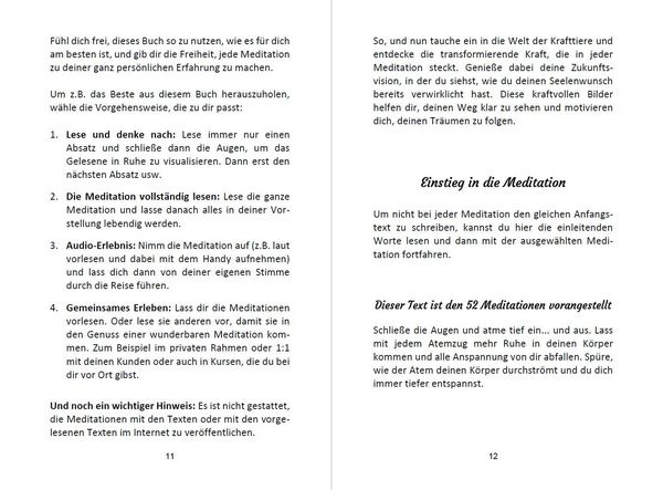 Produktbild: 52 Seelenweg und Krafttier Meditationen