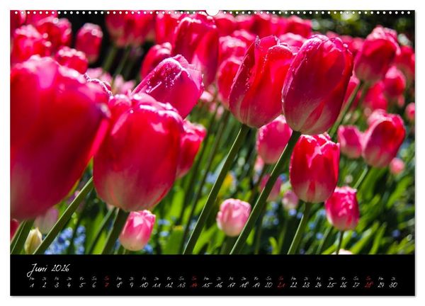 Produktbild: Butchart Gardens 2026 (hochwertiger Premium Wandkalender 2026 DIN A2 quer), Kunstdruck in Hochglanz