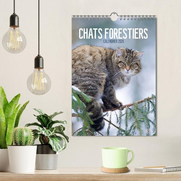 Produktbild: Chats forestiers (Calendrier mural 2026 DIN A4 horizontal), CALVENDO calendrier mensuel