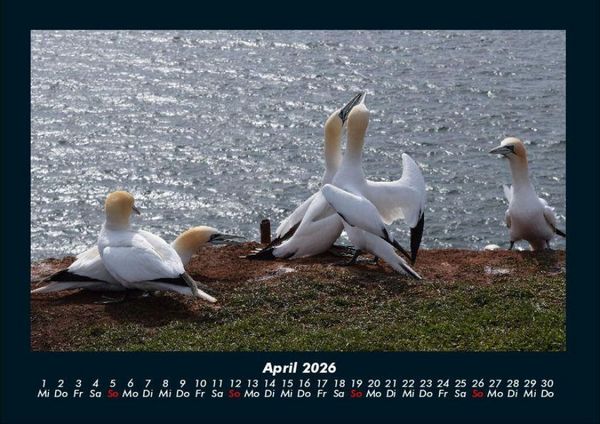 Produktbild: Seeblick 2026 Fotokalender DIN A4
