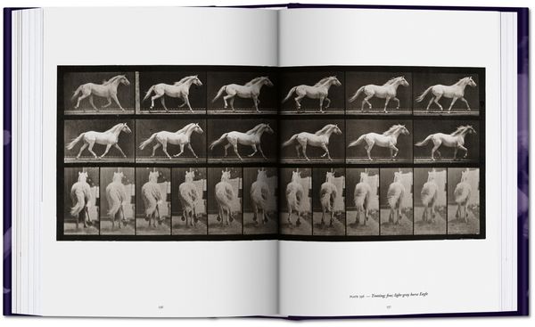 Produktbild: Muybridge. The Human and Animal Locomotion Photographs