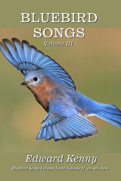 Produktbild: Bluebird Songs (Volume III)