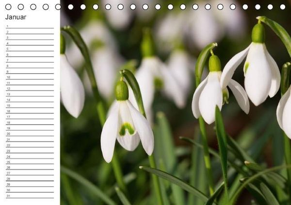 Produktbild: Ich denk an Dich ... Pers&ouml;nlicher Terminkalender (Tischkalender immerw&auml;hrend DIN A5 quer)