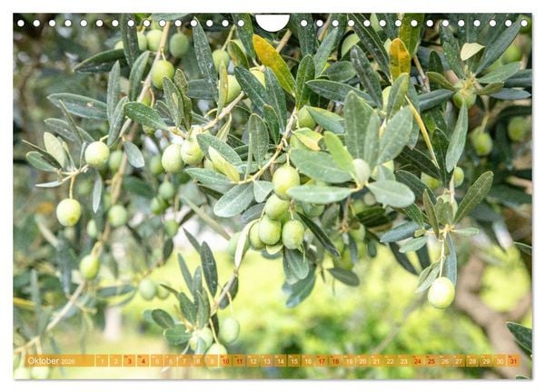 Produktbild: Valpolicella (Wandkalender 2026 DIN A4 quer), CALVENDO Monatskalender
