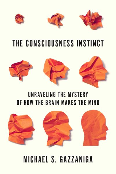 Produktbild: Consciousness Instinct