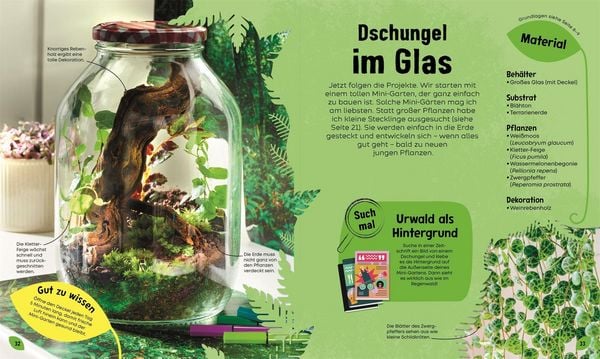 Produktbild: Mein Mini-Garten im Glas