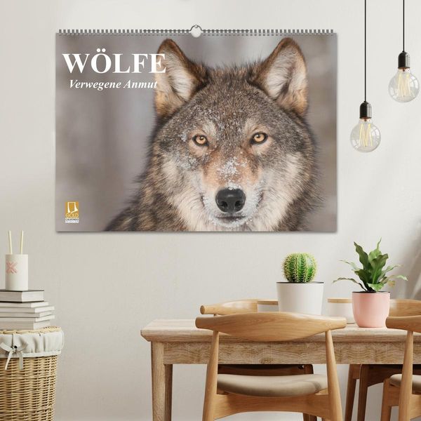 Produktbild: W&ouml;lfe. Verwegene Anmut (Wandkalender 2026 DIN A2 quer), CALVENDO Monatskalender