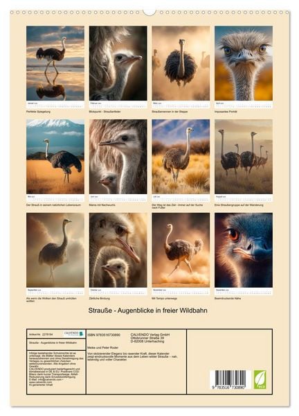 Produktbild: Strau&szlig;e - Augenblicke in freier Wildbahn (hochwertiger Premium Wandkalender 2026 DIN A2 hoch), Kunstdruck in Hochglanz