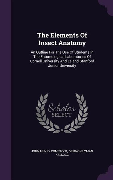 Produktbild: The Elements Of Insect Anatomy: An Outline For The Use Of Students In The Entomological Laboratories Of Cornell University And Leland Stanford Junior