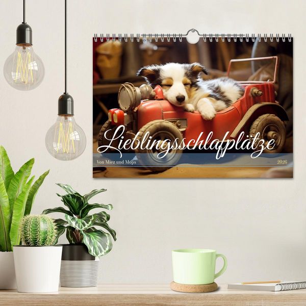 Produktbild: Lieblingsschlafpl&auml;tze (Wandkalender 2026 DIN A4 quer), CALVENDO Monatskalender
