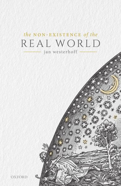 Produktbild: The Non-Existence of the Real World