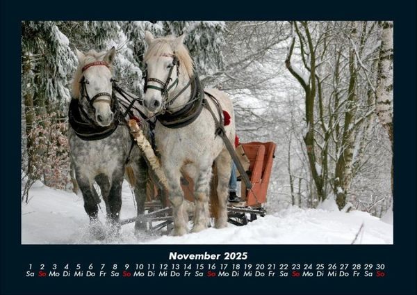 Produktbild: Pferdegefl&uuml;ster 2025 Fotokalender DIN A4