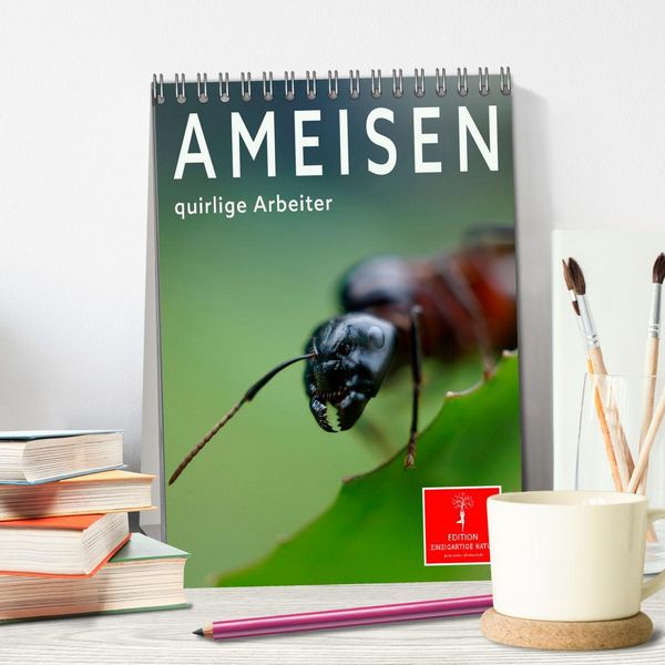 Produktbild: Ameisen quirlige Arbeiter (Tischkalender 2026 DIN A5 hoch), CALVENDO Monatskalender