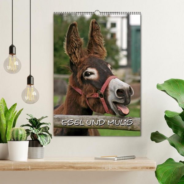 Produktbild: Esel und Mulis (Wandkalender 2026 DIN A2 hoch), CALVENDO Monatskalender