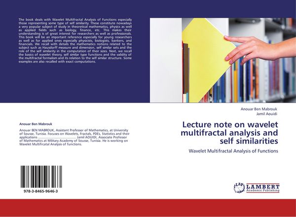 Produktbild: Lecture note on wavelet multifractal analysis and self similarities