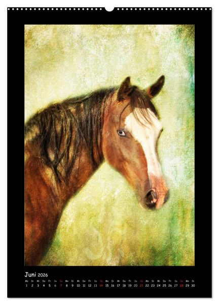 Produktbild: Art Horse 2026 (Wandkalender 2026 DIN A2 hoch), CALVENDO Monatskalender