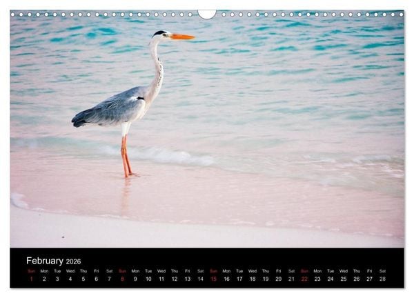 Produktbild: Amazing Maldives (Wall Calendar 2026 DIN A3 landscape), CALVENDO 12 Month Wall Calendar