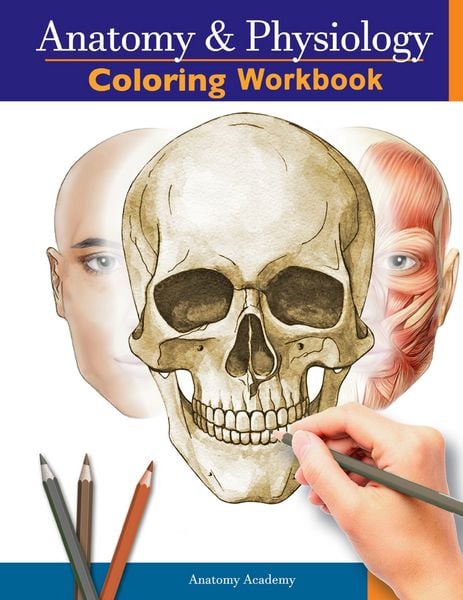 Produktbild: Anatomy and Physiology Coloring Workbook