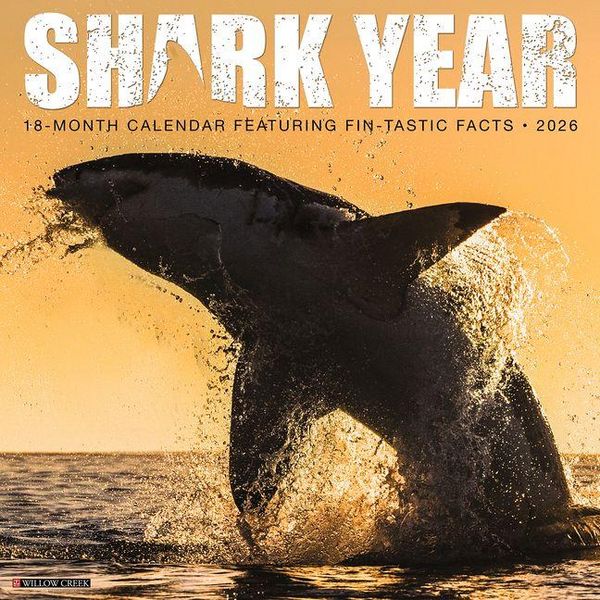 Produktbild: Shark Year 2026 Wall Calendar