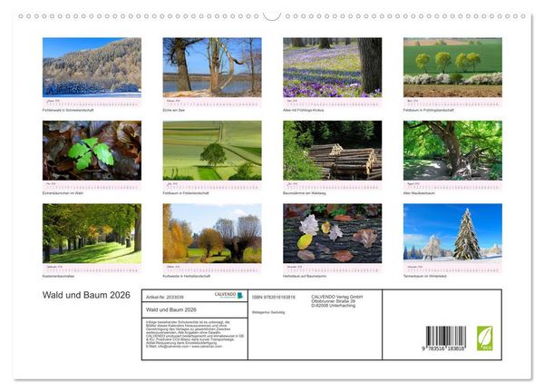 Produktbild: Wald und Baum 2026 (hochwertiger Premium Wandkalender 2026 DIN A2 quer), Kunstdruck in Hochglanz