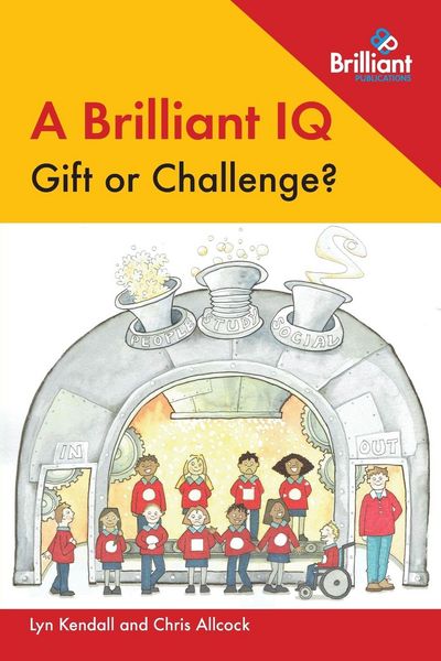 Produktbild: A Brilliant IQ