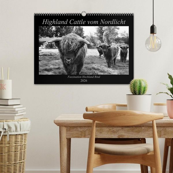 Produktbild: Highland Cattle vom Nordlicht - Faszination Hochland Rind (Wandkalender 2026 DIN A3 quer), CALVENDO Monatskalender