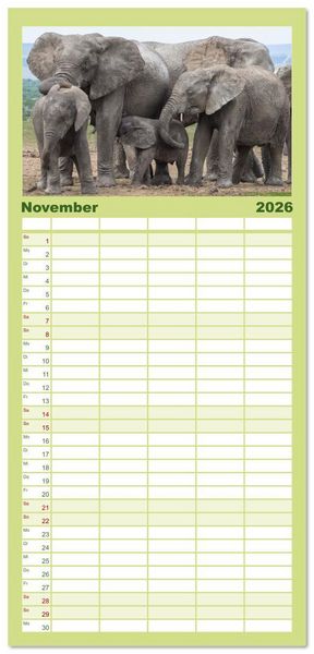 Produktbild: Familienplaner 2026 - Elefanten Begegnungen im &ouml;stlichen und s&uuml;dlichen Afrika mit 5 Spalten (Wandkalender, 21 x 45 cm) CALVENDO