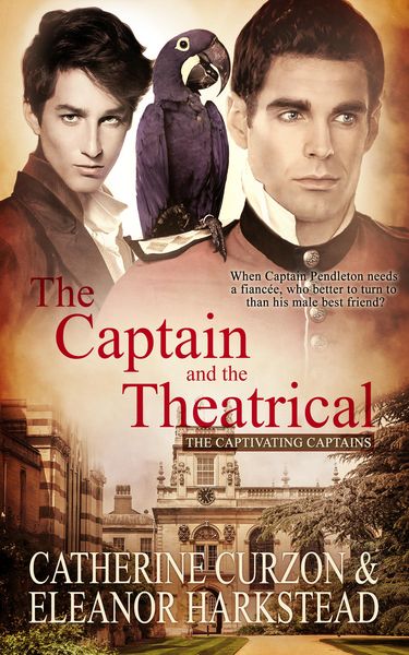 Produktbild: The Captain and the Theatrical