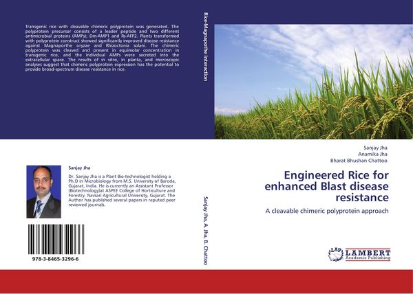 Produktbild: Engineered Rice for enhanced Blast disease resistance