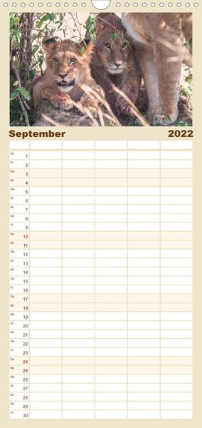 Produktbild: L&ouml;wen - Raubkatzen Afrikas - Familienplaner hoch (Wandkalender 2022 , 21 cm x 45 cm, hoch)