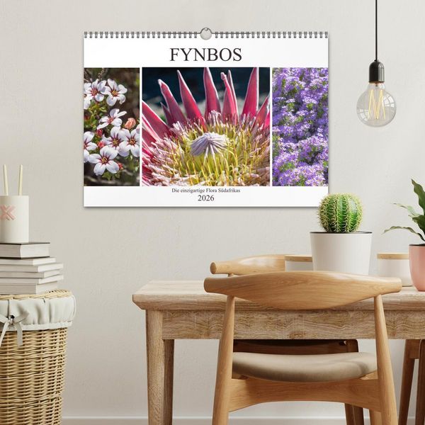 Produktbild: Fynbos - Die einzigartige Flora S&uuml;dafrikas (Wandkalender 2026 DIN A3 quer), CALVENDO Monatskalender