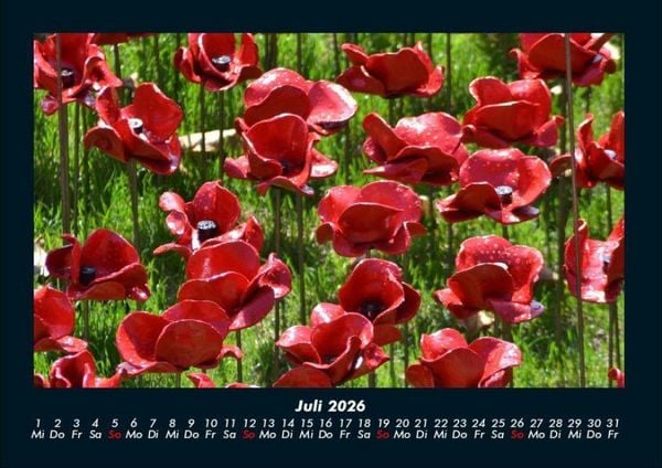 Produktbild: Blumentr&auml;ume 2026 Fotokalender DIN A4