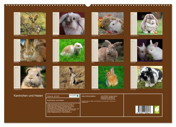 Produktbild: Kaninchen und Hasen (hochwertiger Premium Wandkalender 2026 DIN A2 quer), Kunstdruck in Hochglanz