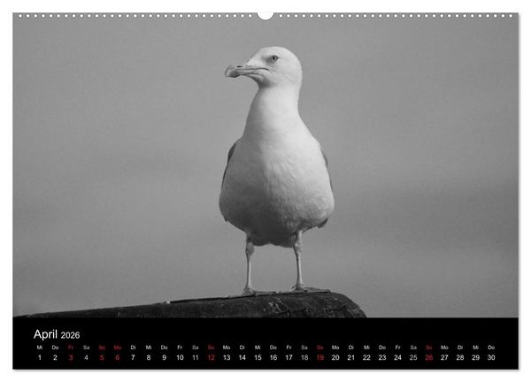 Produktbild: Willkommen in Cuxhaven (Wandkalender 2026 DIN A2 quer), CALVENDO Monatskalender