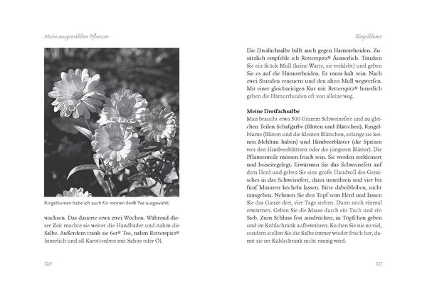 Produktbild: Die Kr&auml;uterapotheke Gottes