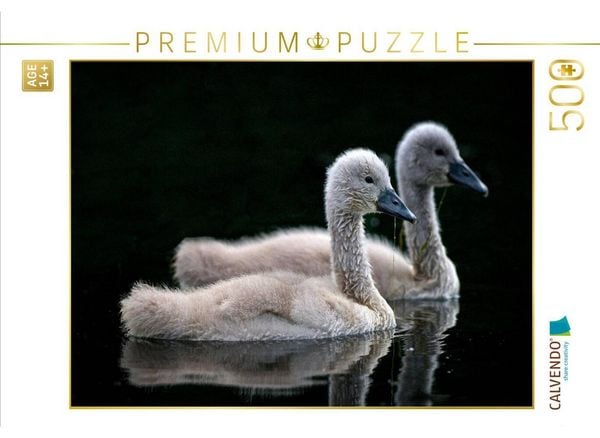 CALVENDO Puzzle Schwanen Küken | 500 Teile Lege-Größe 48 × 36 cm Foto-Puzzle für Erwachsene