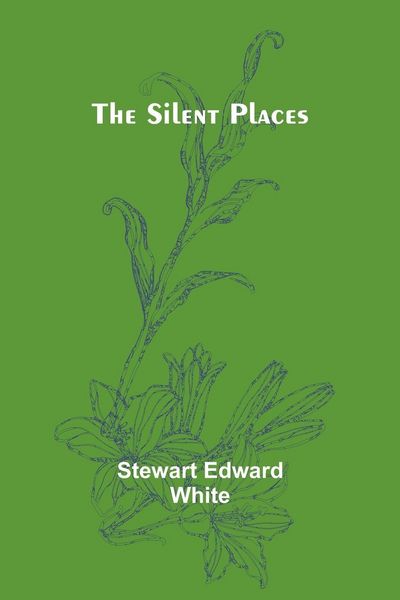 Produktbild: The silent places