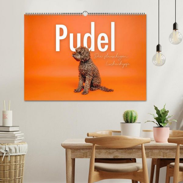 Produktbild: Pudel - Die flauschigen Lockenk&ouml;pfe. (Wandkalender 2026 DIN A2 quer), CALVENDO Monatskalender