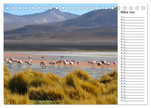 Produktbild: Mein Flamingo Planer (Tischkalender 2026 DIN A5 quer), CALVENDO Monatskalender