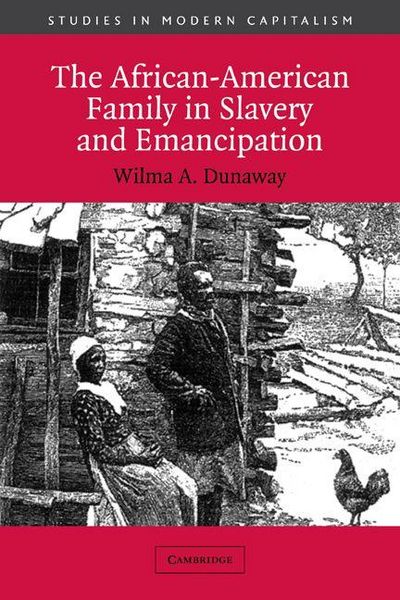 Produktbild: The African-American Family in Slavery and Emancipation
