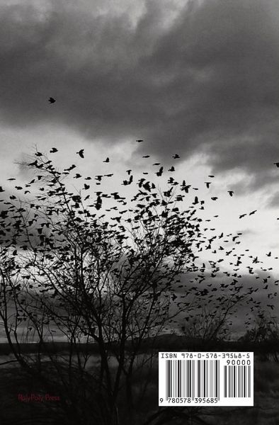 Produktbild: Flying Away