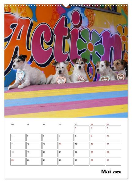 Produktbild: Tender Fellows - Parson Russell Terrier (Wandkalender 2026 DIN A2 hoch), CALVENDO Monatskalender