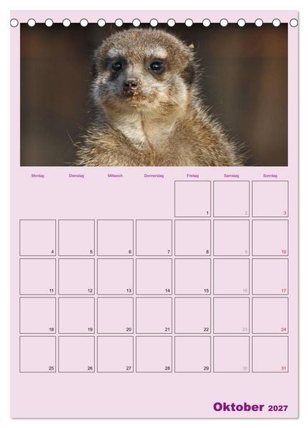 Produktbild: Erdm&auml;nnchen / Terminplaner (Tischkalender 2027 DIN A5 hoch), CALVENDO Monatskalender