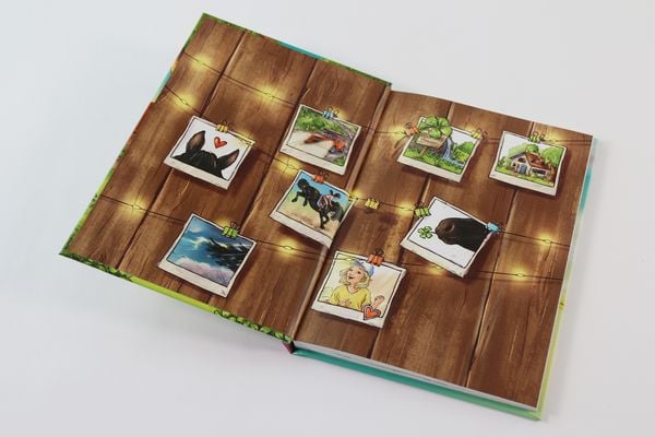 Produktbild: Reiterhof Ponygl&uuml;ck (Band 1) - Ein Pony f&uuml;r Sina