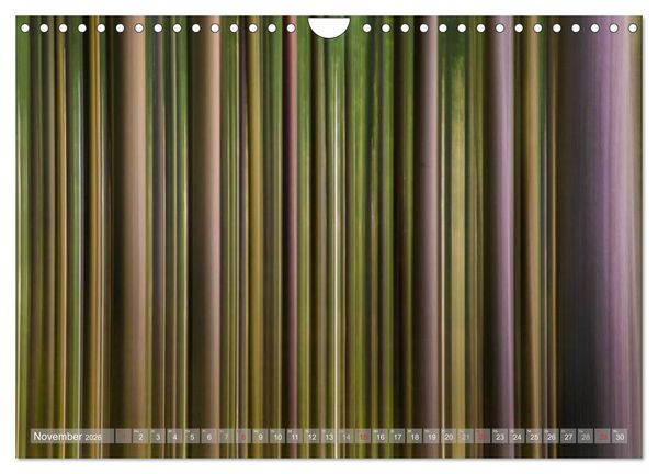 Produktbild: Atelier Wald - gemalt mit Licht (Wandkalender 2026 DIN A4 quer), CALVENDO Monatskalender