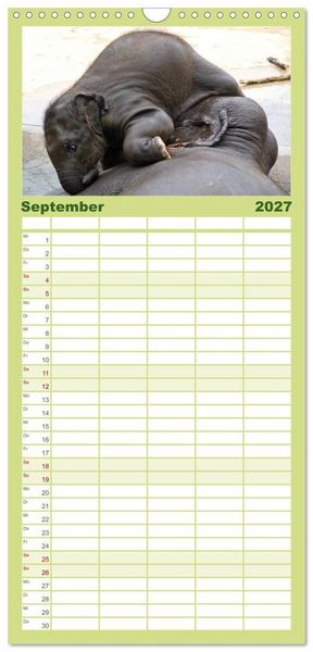 Produktbild: Familienplaner 2027 - Kleine Schelme - Tierbabys mit 5 Spalten (Wandkalender, 21 x 45 cm) CALVENDO