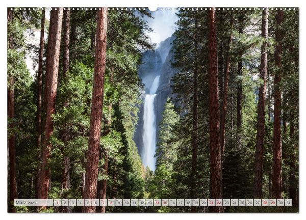 Produktbild: W&auml;lder der Welt (hochwertiger Premium Wandkalender 2026 DIN A2 quer), Kunstdruck in Hochglanz