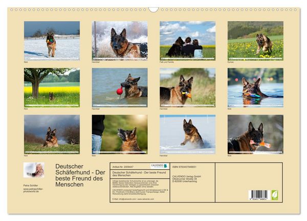 Produktbild: Deutscher Sch&auml;ferhund - Der beste Freund des Menschen (Wandkalender 2026 DIN A2 quer), CALVENDO Monatskalender
